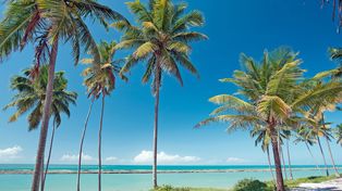 Porto de Galinhas: playas Inexploradas y experiencias únicas