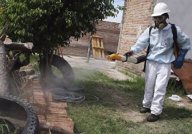 Desinsectación. El trabajo de pulverización debe ir acompañado por medidas hogareñas.