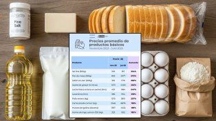 Un informe de Celag Data, con cifras del INDEC, revela los productos básicos cuyos precios se dispararon hasta un 334% desde noviembre de 2023