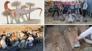 &nbsp;La nueva especie, bautizada Chucarosaurus diripienda, se encuentra entre los dinosaurios más grandes del mundo con sus 30 metros de largo.