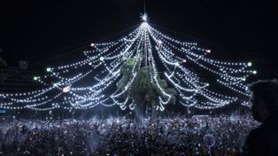 El arbolito de Oroño y Pellegrini se ilumina para celebrar Navidad