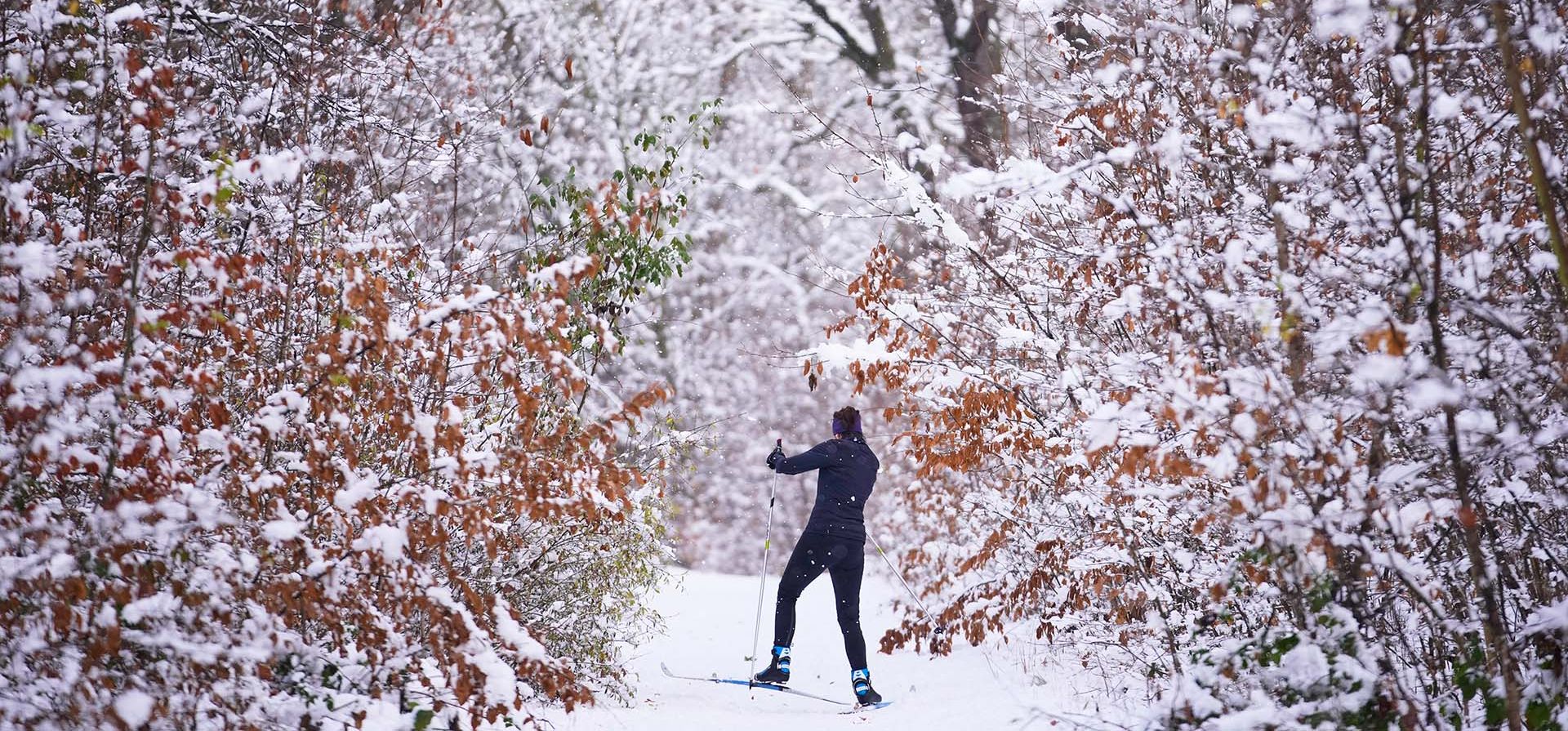 Una mujer practica esquí de fondo tras una nevada en Praga, República Checa, el jueves 27 de noviembre de 2025. (Foto AP/Petr David Josek) Una mujer practica esquí de fondo tras una nevada en Praga, República Checa, el jueves 27 de noviembre de 2025. (Foto AP/Petr David Josek)