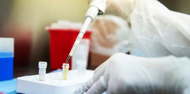 Coronavirus: la provincia registró un nuevo récord de contagios y la ciudad sumó 11 positivos