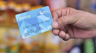 Anses solicita a sus usuarios mantener la información actualizada en su base de datos