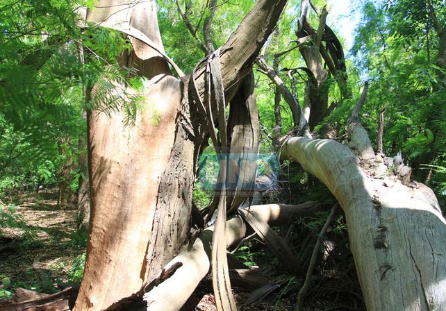 El pueblo que se resiste a ser fantasma por un antiguo mito