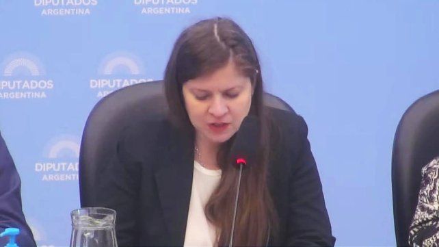 ONG entrerriana afirmó que la reforma de la Ley de Glaciares producirá un grave ecocidio