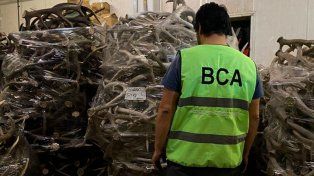 Ambiente incautó cerca de 40 toneladas de astas de ciervo en un allanamiento