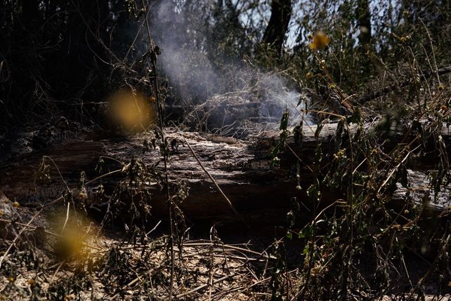 El paso de los incendios por la Isla de los Mástiles, en imágenes