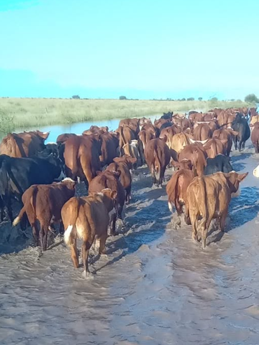 Las lluvias complican al norte provincial, donde más se siente el desguace del SMN