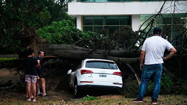 Fuerte temporal afectò varias ciudades de la&nbsp; Costa Atlántica