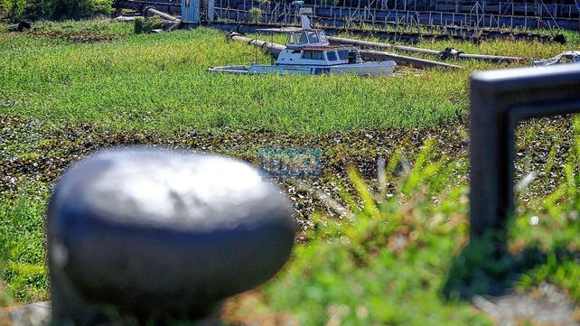 Puerto Nuevo: los tres desafíos para el futuro de un tesoro abandonado