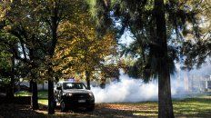 FUMIGACIONES. Continuarán en espacios verdes de la ciudad. FUMIGACIONES. Continuarán en espacios verdes de la ciudad.