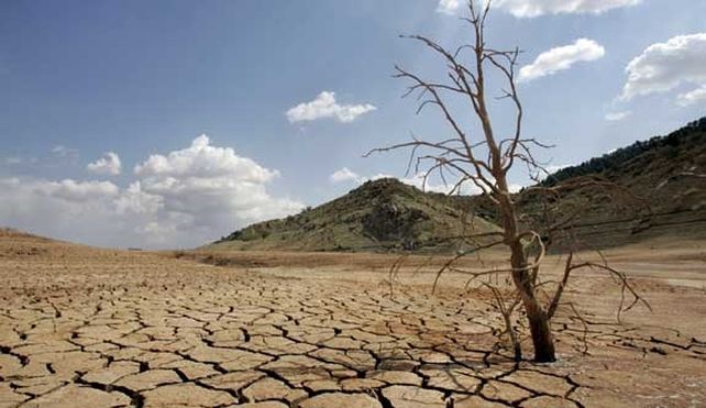 Piensan bajar dos grados el calentamiento global