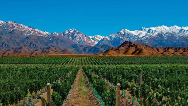 Ruta del vino en Mendoza &nbsp;