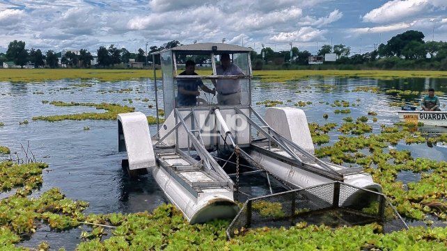 Comenzó a trabajar la cosechadora acuática en el lago del Parque Sur para retirar los repollitos de agua.