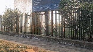 Enojo: cortaron una palmera que tapaba el cartel de una obra