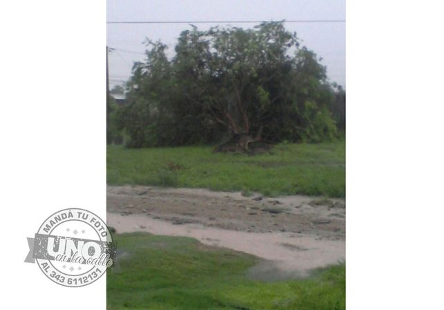 Terrible temporal de lluvia y viento generó graves destrozos en Paraná