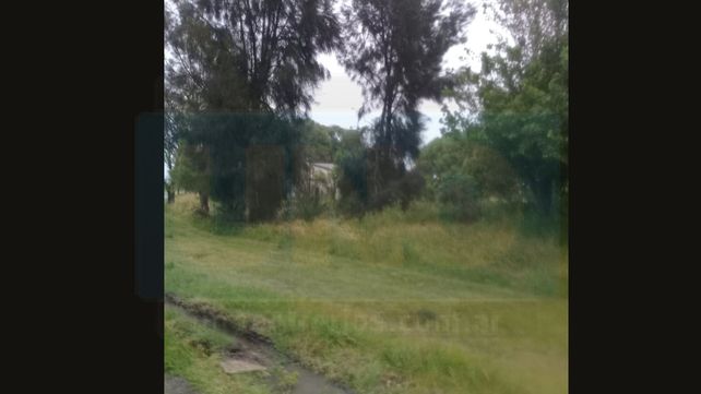 La tormenta arrancó árboles de raíz en Colonia Rivadavia