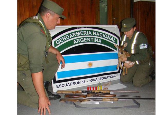 Los oficiales de Gendarmería con el ciervo rescatado