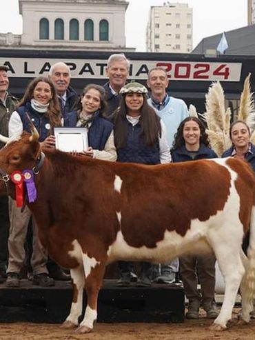 El ganado criollo patagónico dijo presente en La Rural