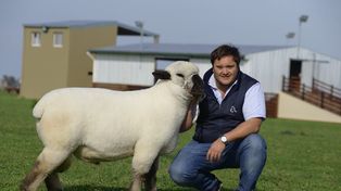 La carne ovina avanza hacia la mesa de los argentinos