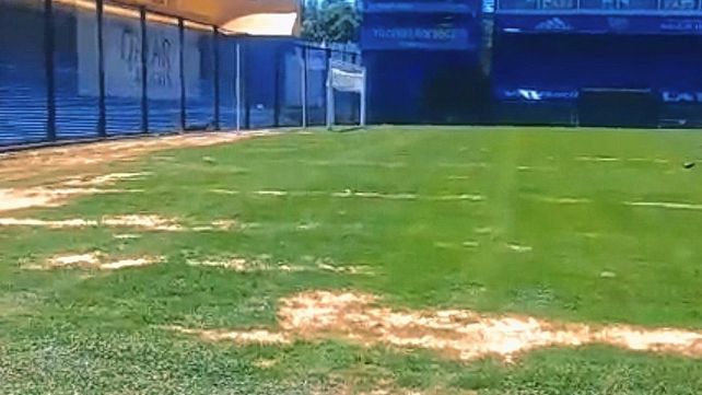 El campo de juego de La Bombonera no luce bien a cuatro días del partido entre Boca y Colón.