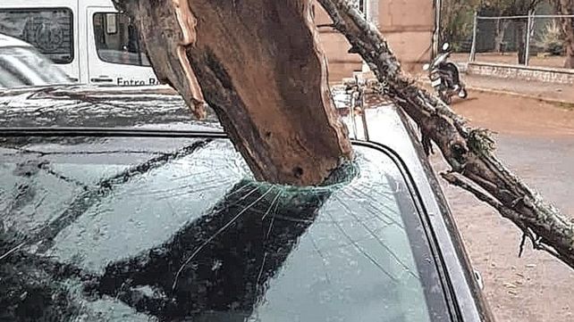 Una rama se desprendió de un árbol y se incrustó en un auto