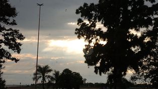 Nieblas en la mañana pero en compañía del sol