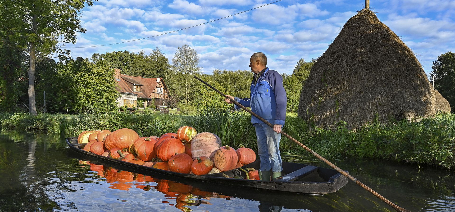 Un granjero conduce una barcaza del Spreewald completamente cargada con calabazas a través de un río temprano en la mañana en Lehde, Alemania, el miércoles 21 de septiembre de 2022.