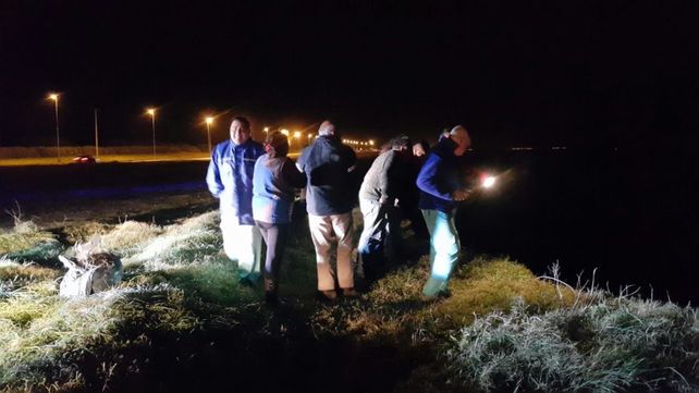 Los investigadores creen que el auto se precipitó por una mala maniobra.