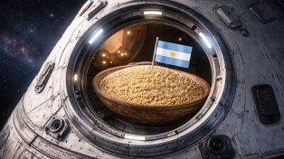 Argentina enviará semillas al espacio para estudiar cómo responden a condiciones extremas