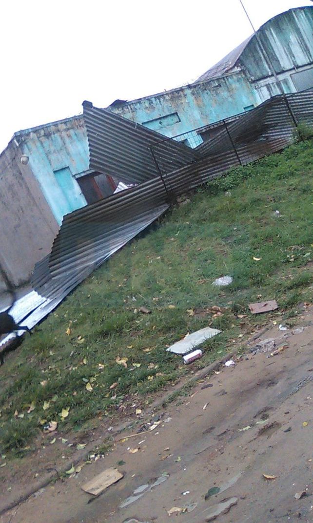 Fuerte tormenta con voladuras de techos, árboles caídos y autos aplastados
