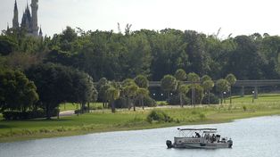 Un caimán mató a un bebé en Disney, pese a la desesperada lucha de sus padres