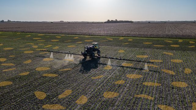 Menos glifosato, más precisión: la propuesta de una agtech local