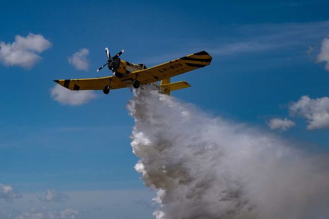 Incendios en las islas: experto de la UNR pide crear una policía interprovincial fija en el humedal