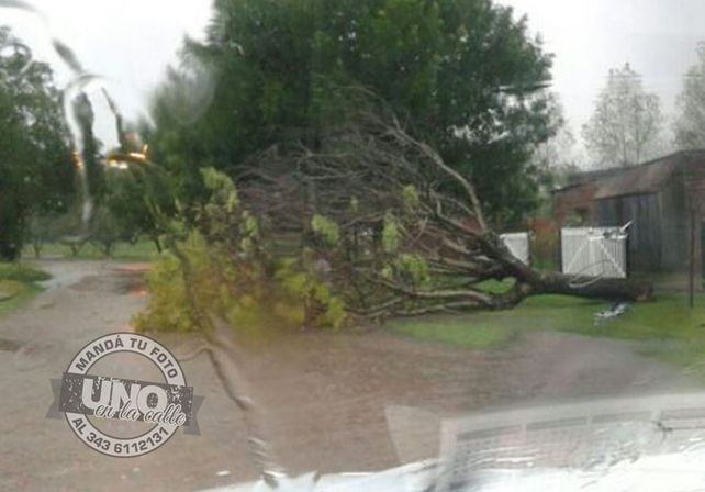 Terrible temporal de lluvia y viento generó graves destrozos en Paraná