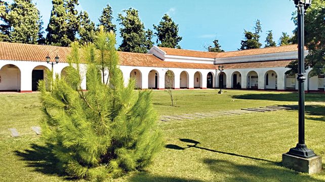 Uno de los reto&ntilde;os del pino hist&oacute;rico
