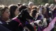 Una caminata con garra: familias enteras y sus mascotas se sumaron al Mascotón