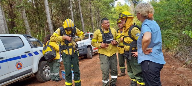 Los bomberos santafesinos trabajan intensamente para salvar selva autóctona
