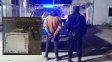 Paraná: detuvieron a un hombre que llevaba una réplica de arma de fuego en un morral