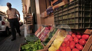 Semana a semana se podrán saber los precios de las frutas y verduras