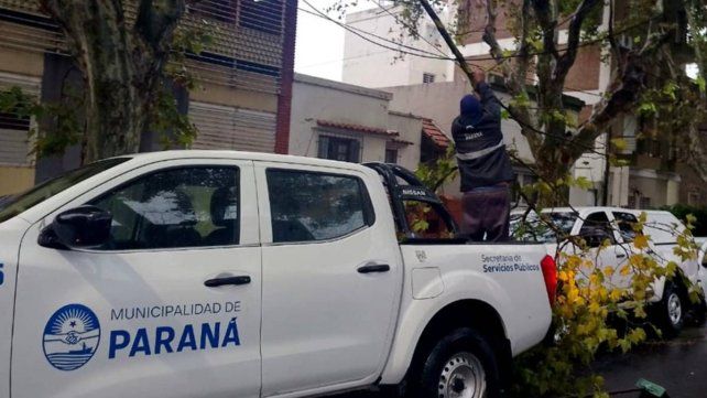 Paraná: múltiples complicaciones por el temporal de viento y lluvia
