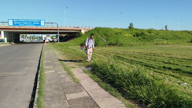 Tras meses de abandono, la nueva concesionaria de Circunvalación arranca el desmalezamiento