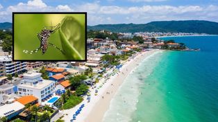 Dengue en Santa Fe: advierten que los casos van a crecer y hacen foco en quienes regresan de Brasil