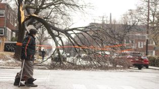 Canadá: una tormenta de hielo dejó dos muertos y un millón de personas sin luz