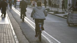 Senderos demarcados. Existen tramos que requieren mantenimiento, y jerarquización con mayor protección.