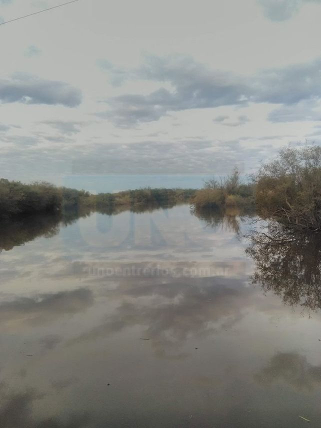 Vecinos de San José denunciaron mortandad de peces