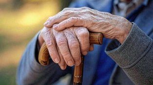 Ansés: de cuánto son las jubilaciones en diciembre 2025 con el bono y el aguinaldo