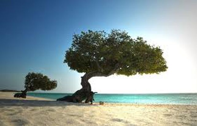 Aruba, un paraíso soñado para los amantes del aire libre y el sol