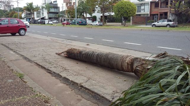 Un joven de 23 años murió en un accidente en la Costanera y Salvador del Carril